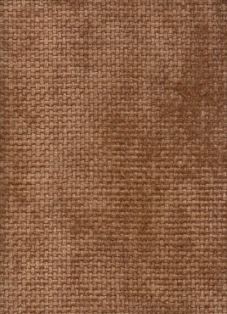 Morris Bronze