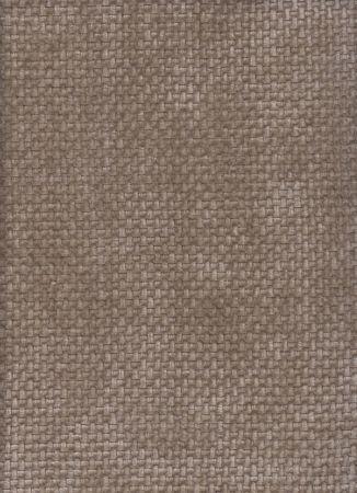 Morris Taupe