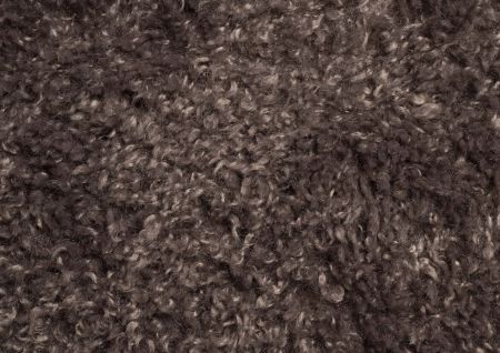 Poodle Cacao