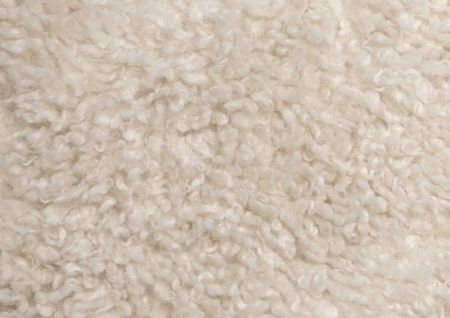 Poodle Cream