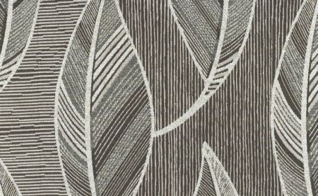 Plume Brown