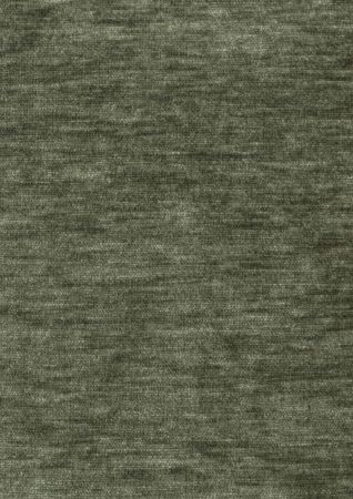 Studio Eucalyptus