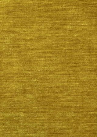 Studio Gold