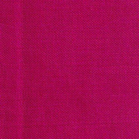 Sydney Fuchsia
