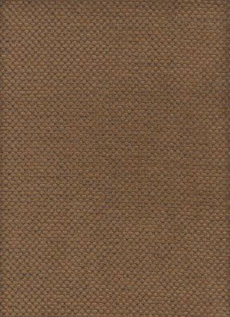 Silence Bronze