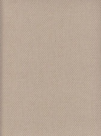 Spring Beige