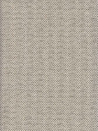 Spring Lightgrey