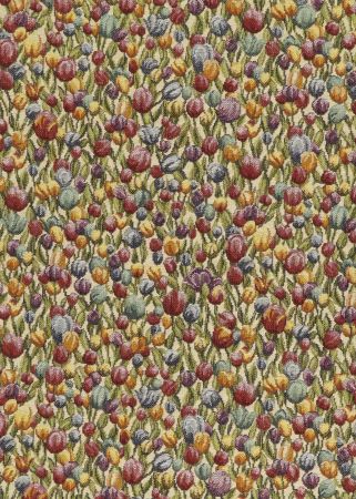 Tulipan_30_Beige