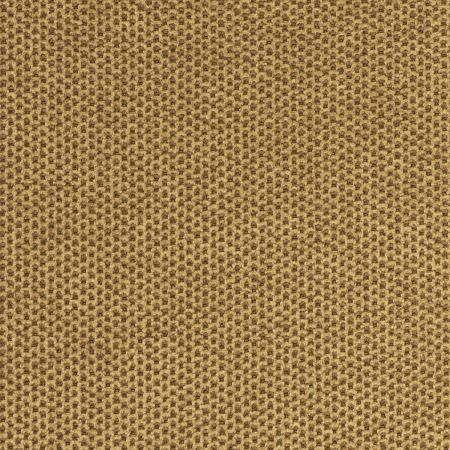 Epsilon Ocre