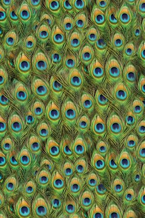 Digitale Printstof 105 Peacock Feather
