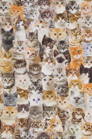Digitale Printstof 147 Cats Allover