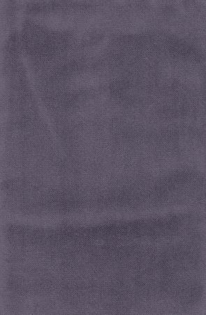 Jules Lavender