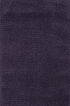 Jules Purple