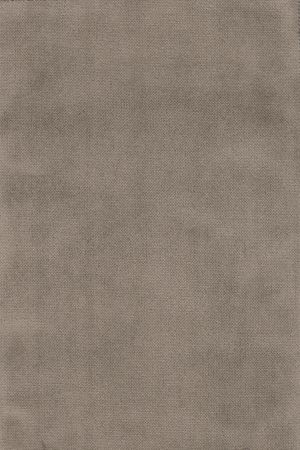 Jules Taupe