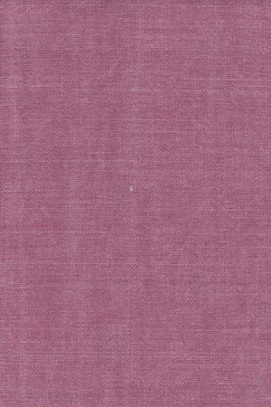 Vintage Fuchsia