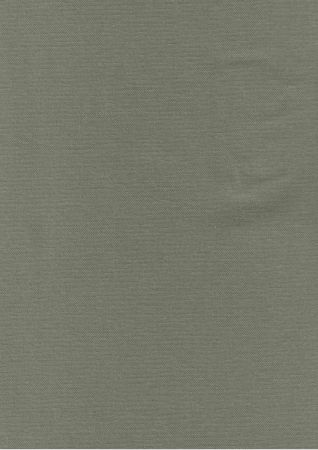Dali Taupe