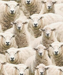 SHEEP FLOCK TOGETHER katoenen stof met schapen gordijnstof 1.151030.1430.105